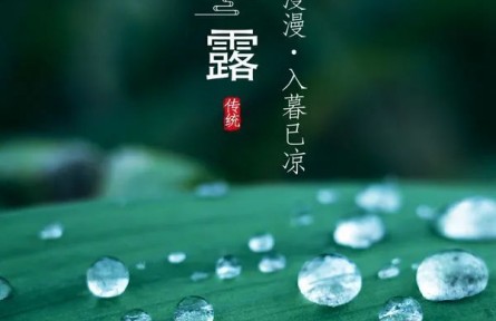 寒露，露似真珠月似弓
