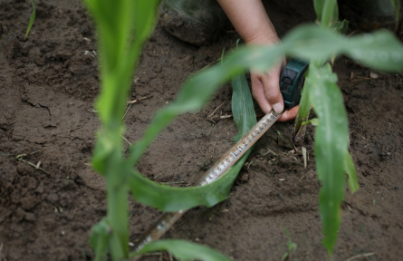 黑土地保护法 law on black soil conservation